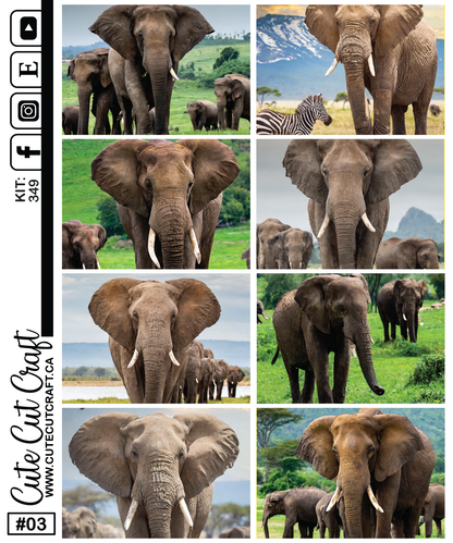 Elephant Expedition #349 || Journaling Sheets