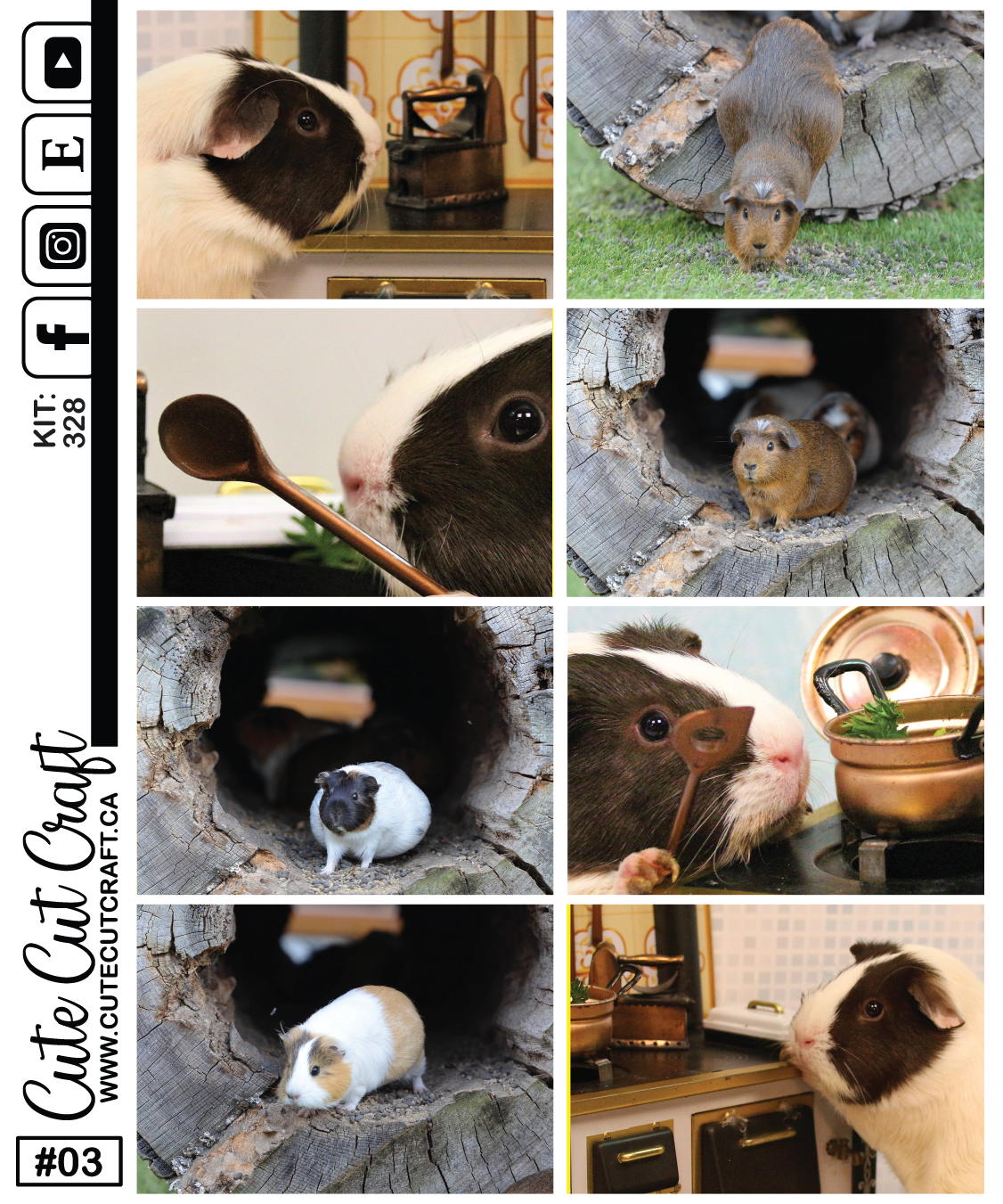 Guinea Pigs #328 || Journaling Sheets