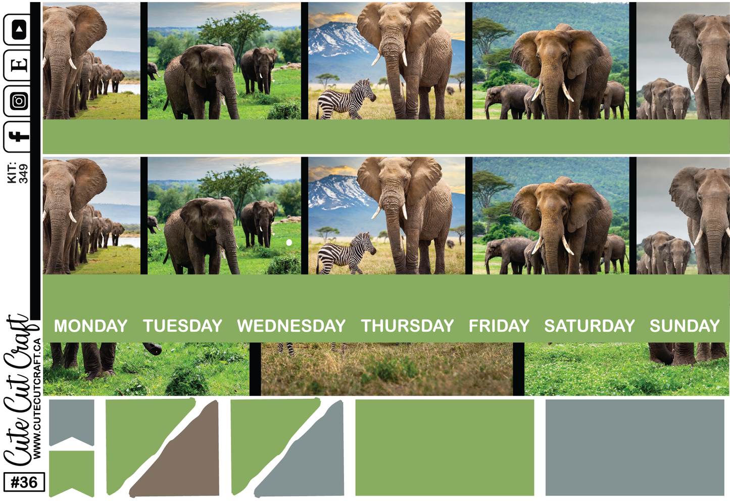 Elephant Expedition #349 || 7x9 Monthly