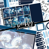 Moonlight Dandy #252 || CHP Dashboard Weekly & Monthly