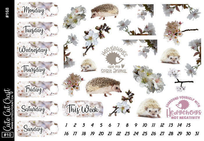 Hedgehog Bloom #168 || Date Covers & Deco