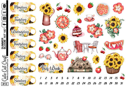 Summer Bloom #187 || Date Covers & Deco