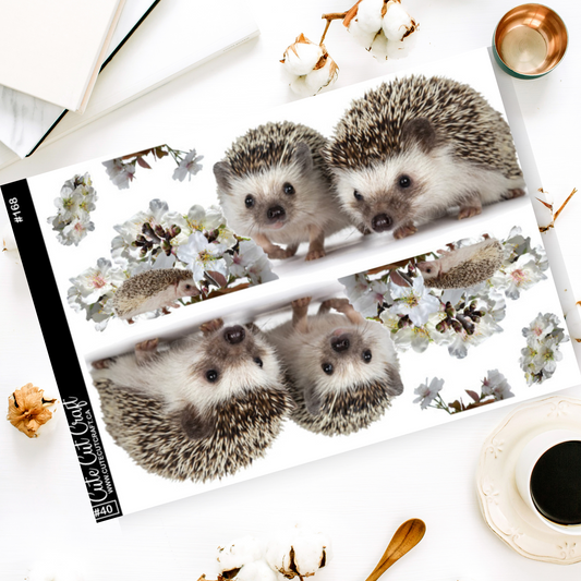 Hedgehog Bloom #168 || XL Deco Sheet