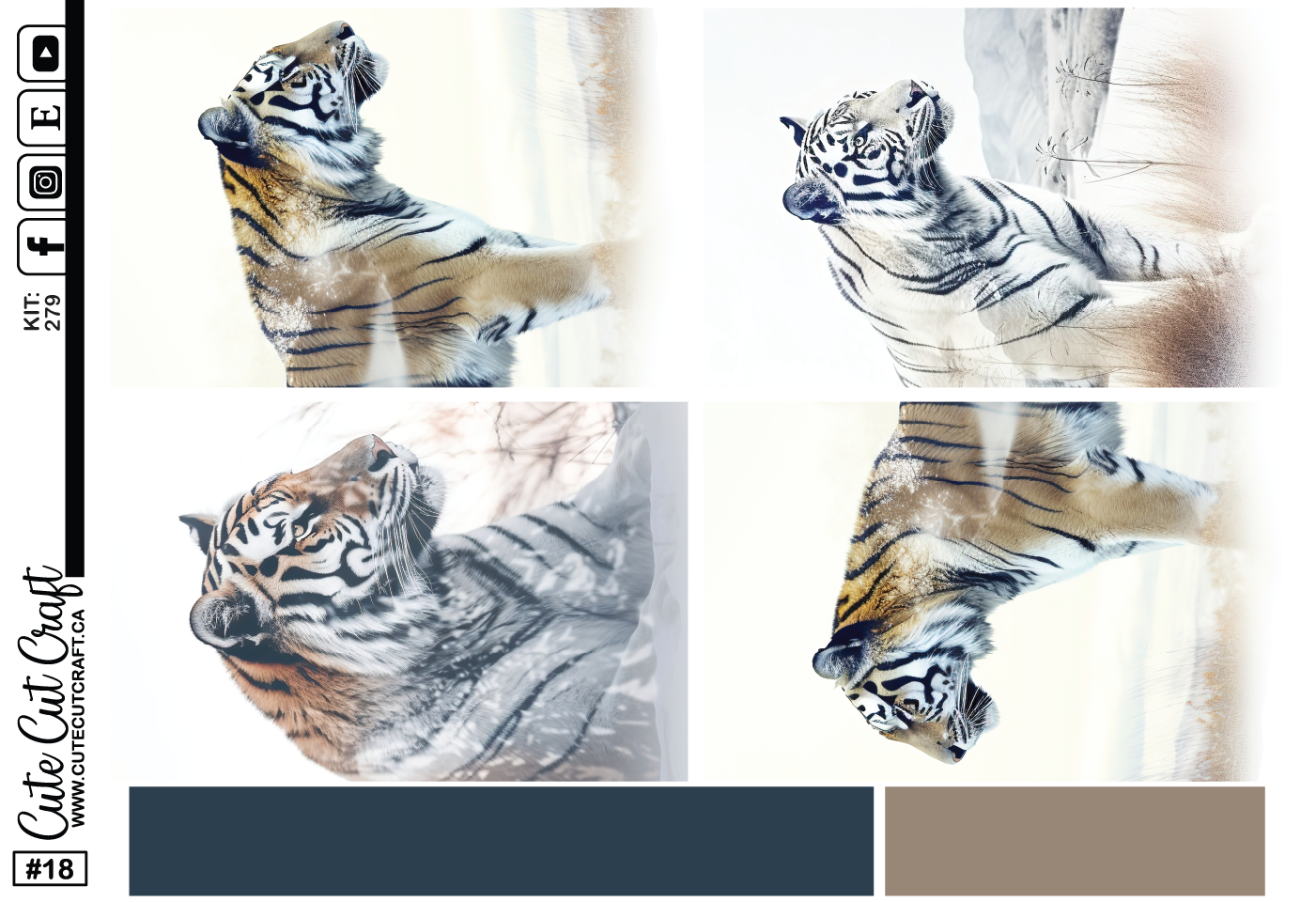 White Tiger #279 || Past Collections