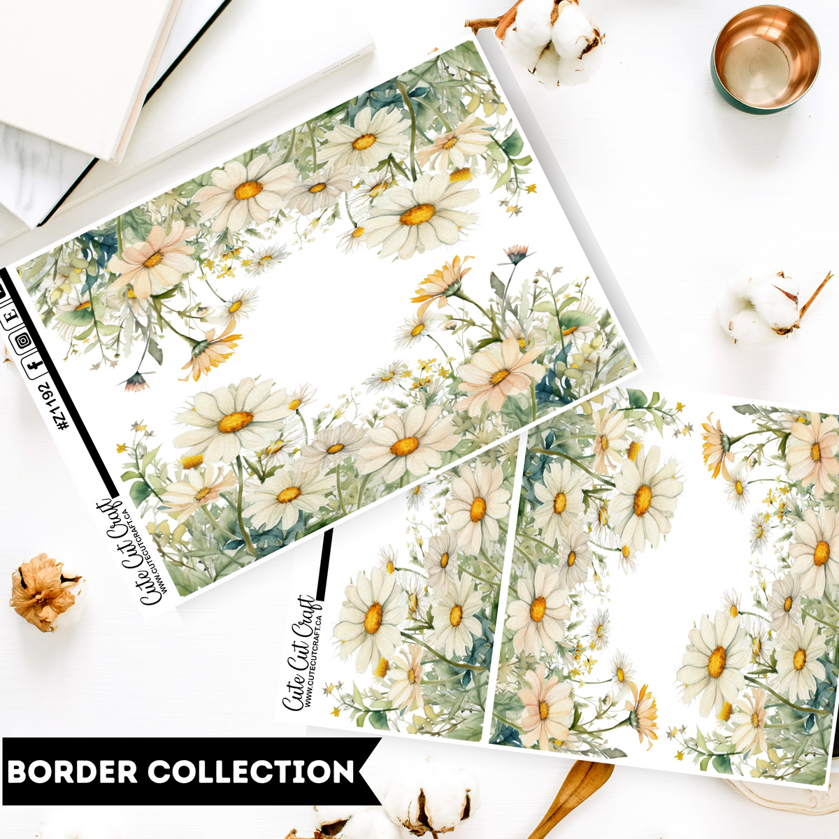 Daisy || Border Collection