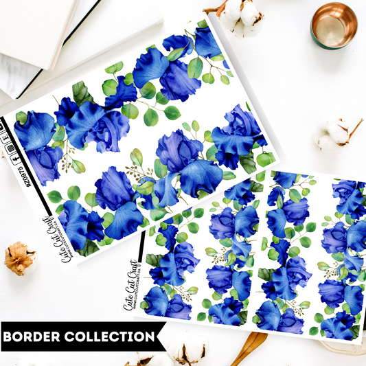 Summer Iris || Border Collection