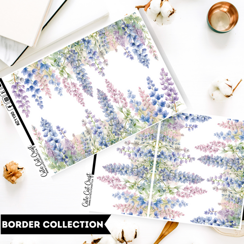 Lupin || Border Collection