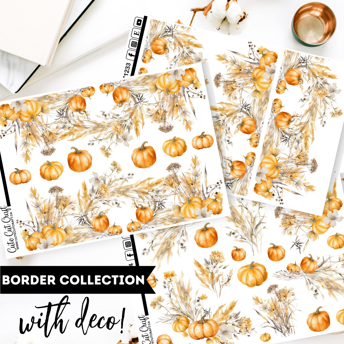 Pumpkin Harvest || Border Collection