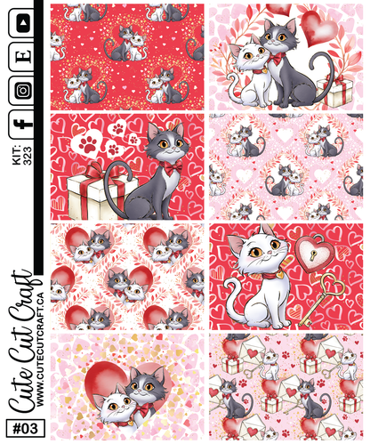 Kitty Love  #323 || Full Boxes