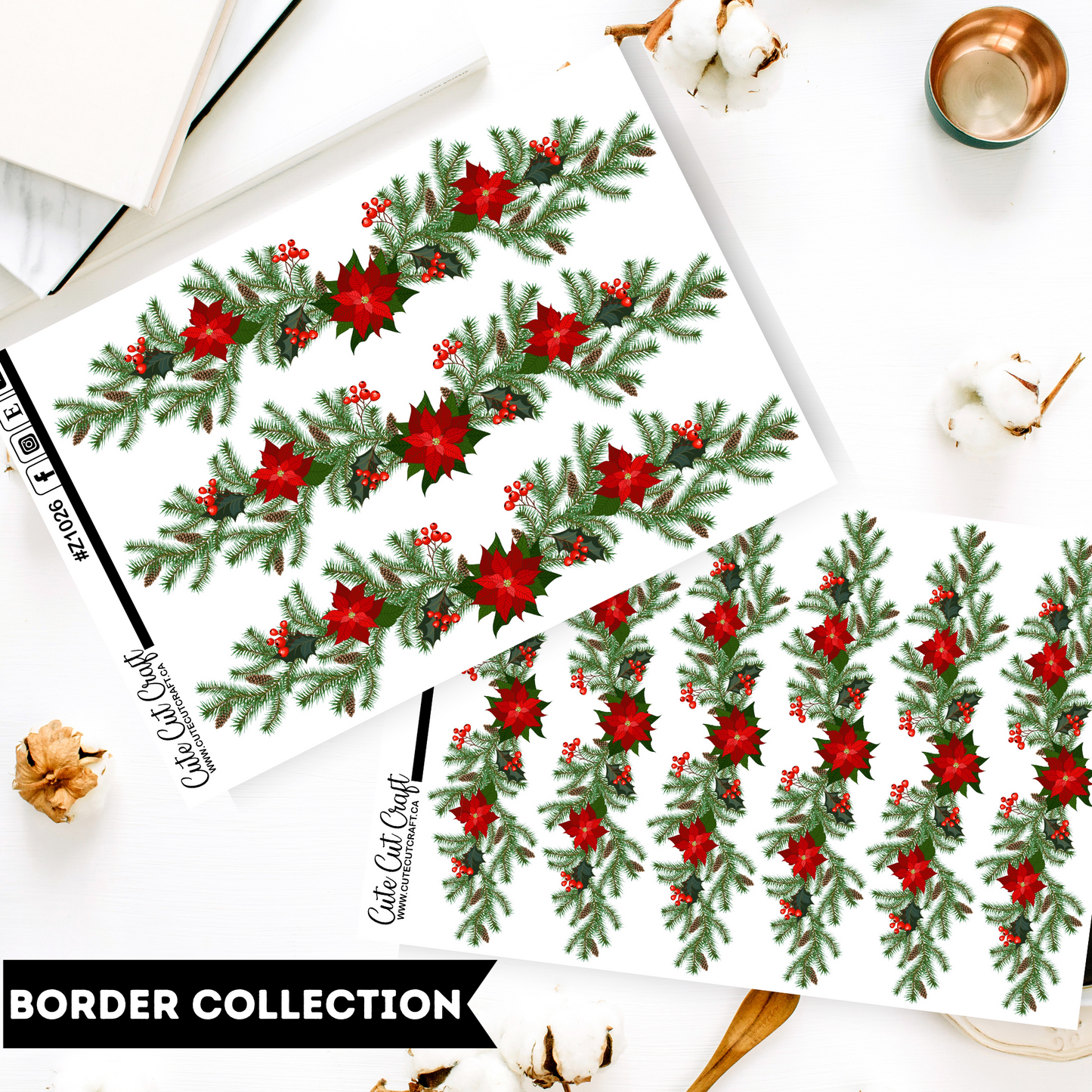 Poinsettia || Border Collection