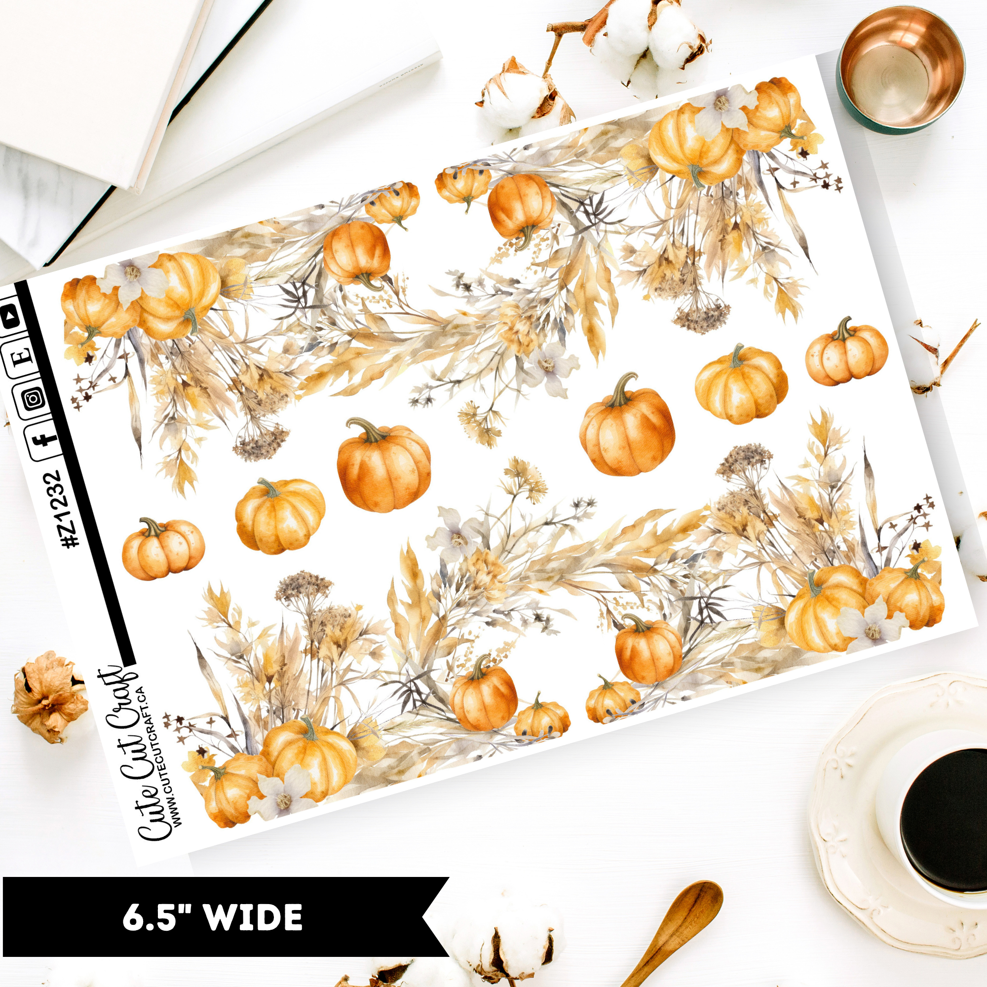 Pumpkin Harvest || Border Collection