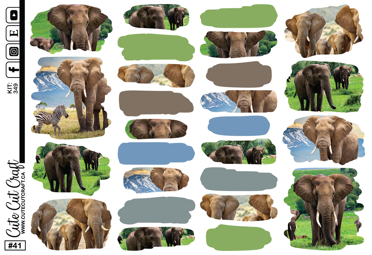 Elephant Expedition #349 || EC LifePlanner