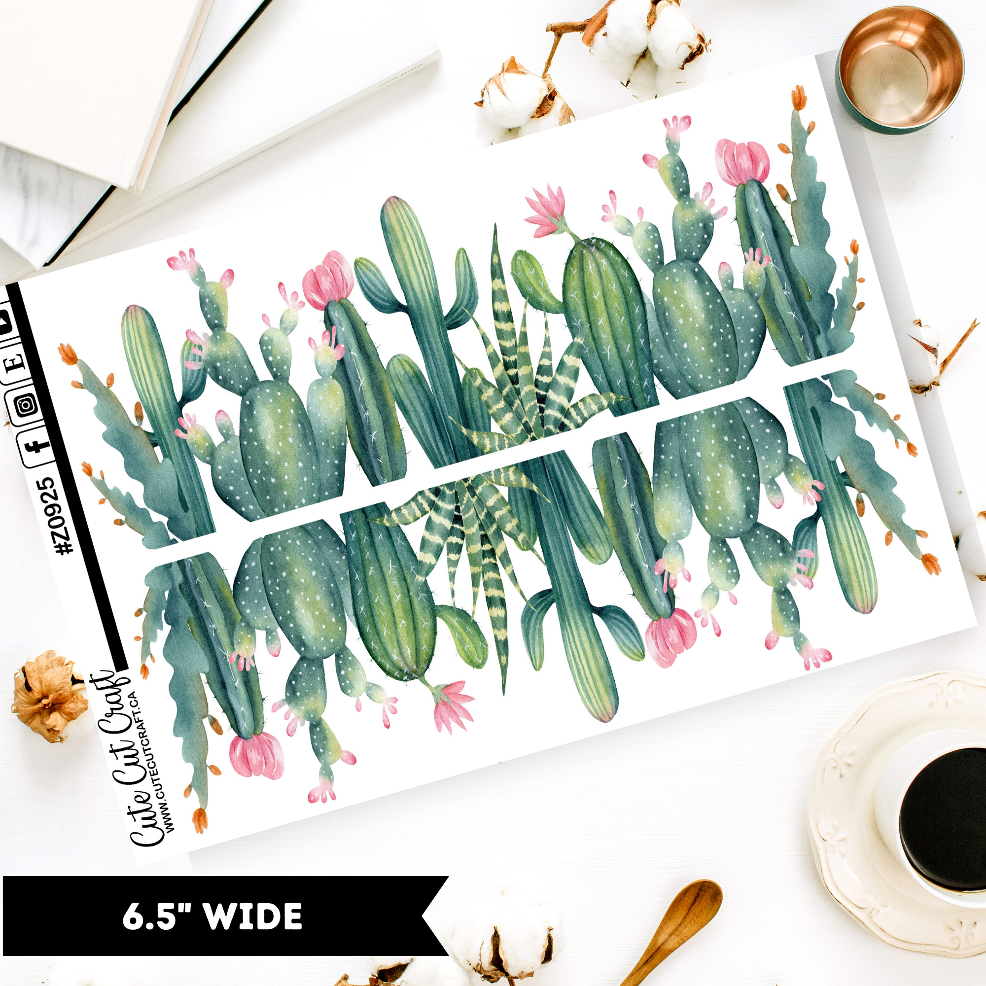 Summer Cactus || Border Collection