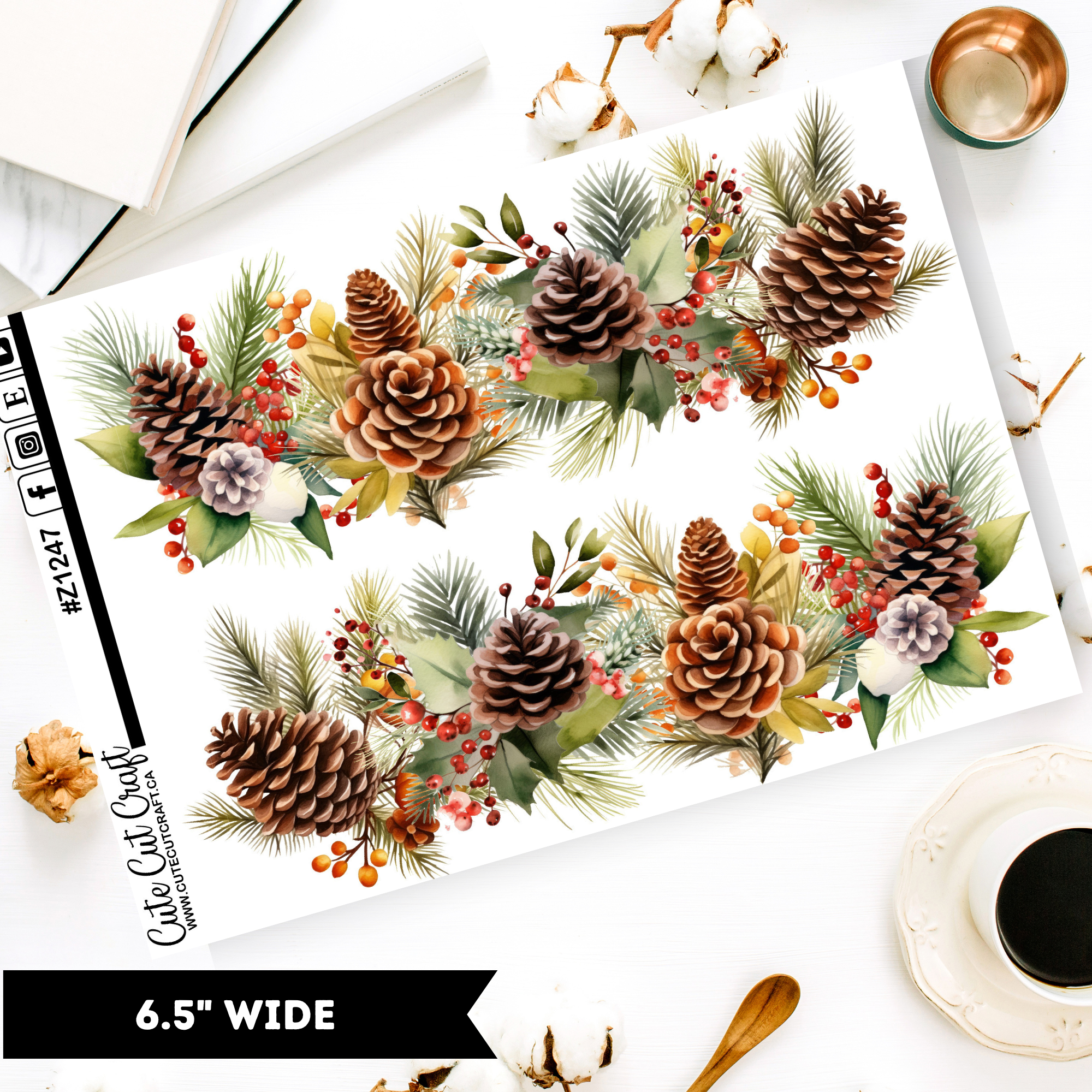 Winter Pinecone || Border Collection