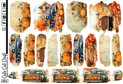 Pumpkin Truck #288 || Past Collections