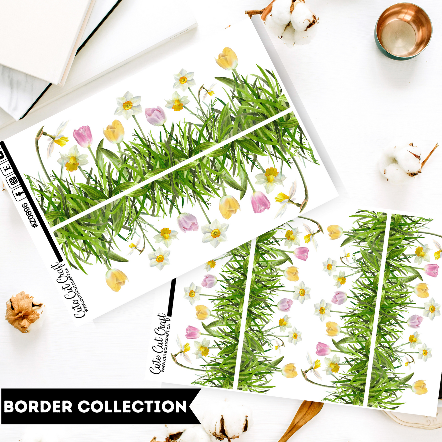 Daffodils  || Border Collection