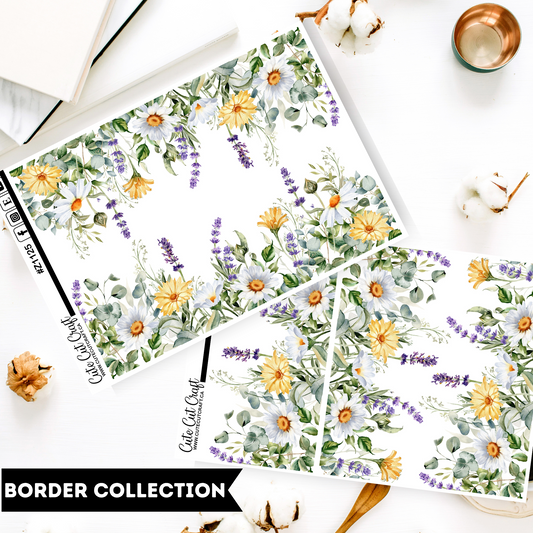 Chippy Spring || Border Collection