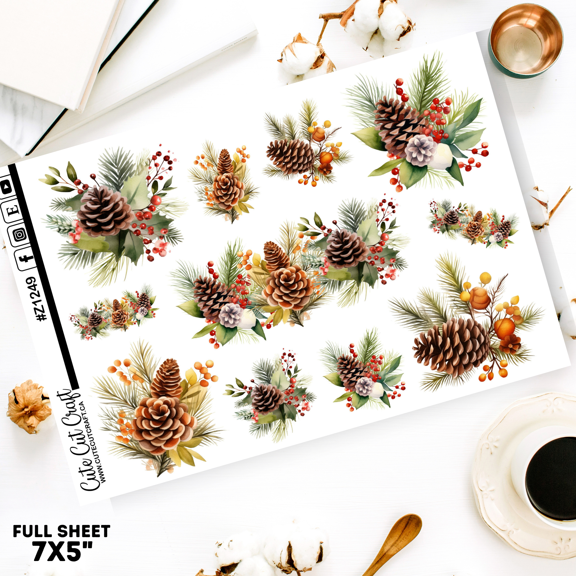 Winter Pinecone || Border Collection