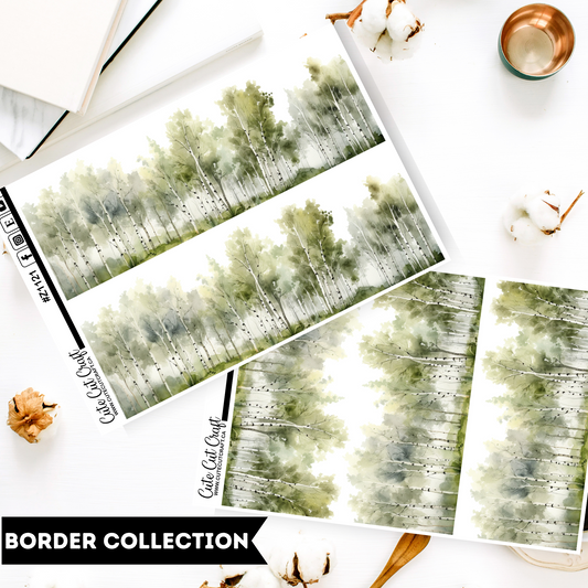 Birch Trees || Border Collection
