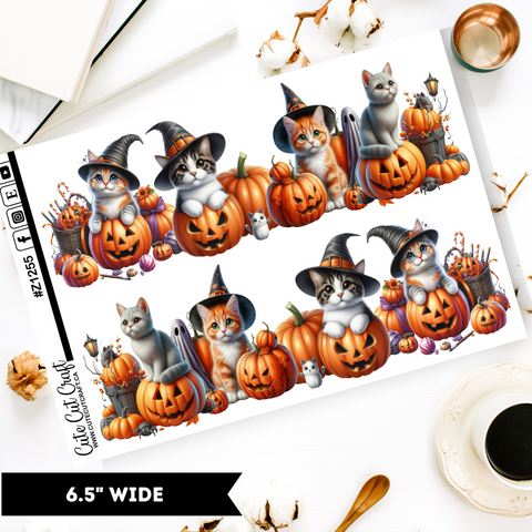 Halloween Cats || Border Collection