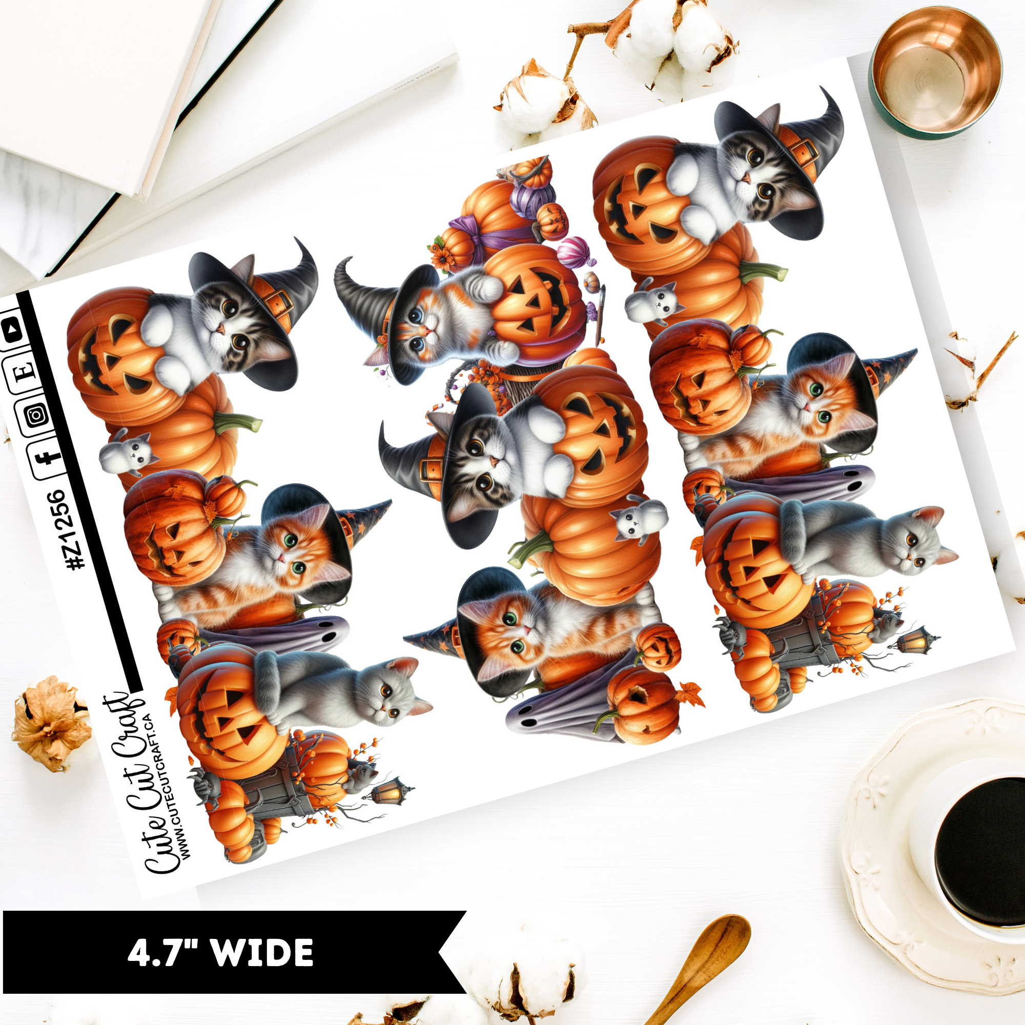 Halloween Cats || Border Collection