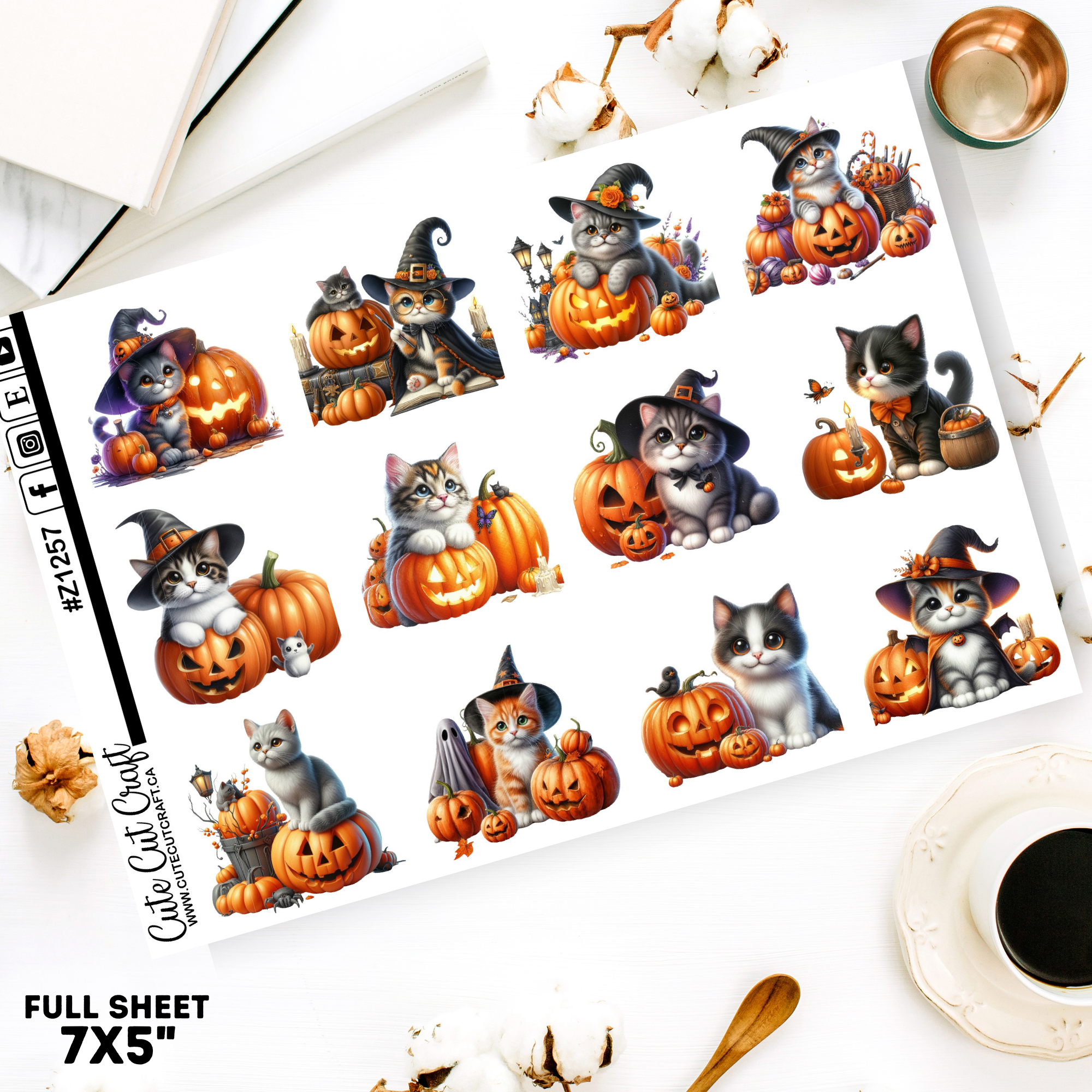 Halloween Cats || Border Collection