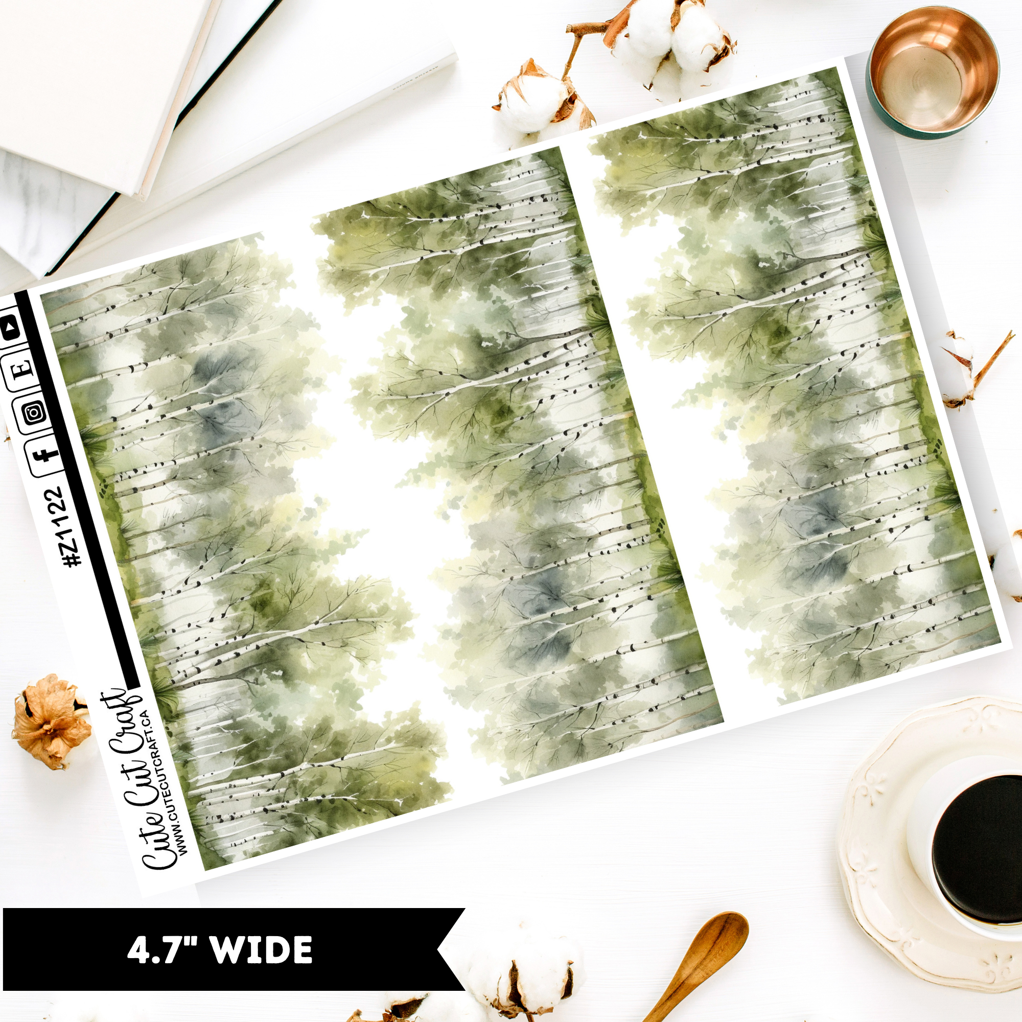 Birch Trees || Border Collection