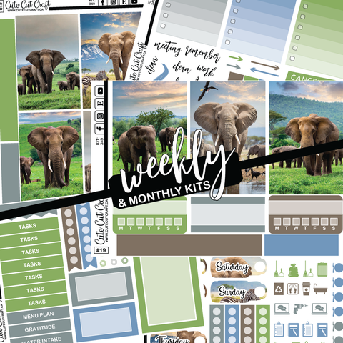 Elephant Expedition #349 || Big HP Weekly & Monthly