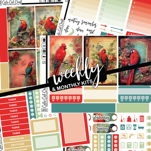 Red Parrot #365 || Big HP Weekly & Monthly