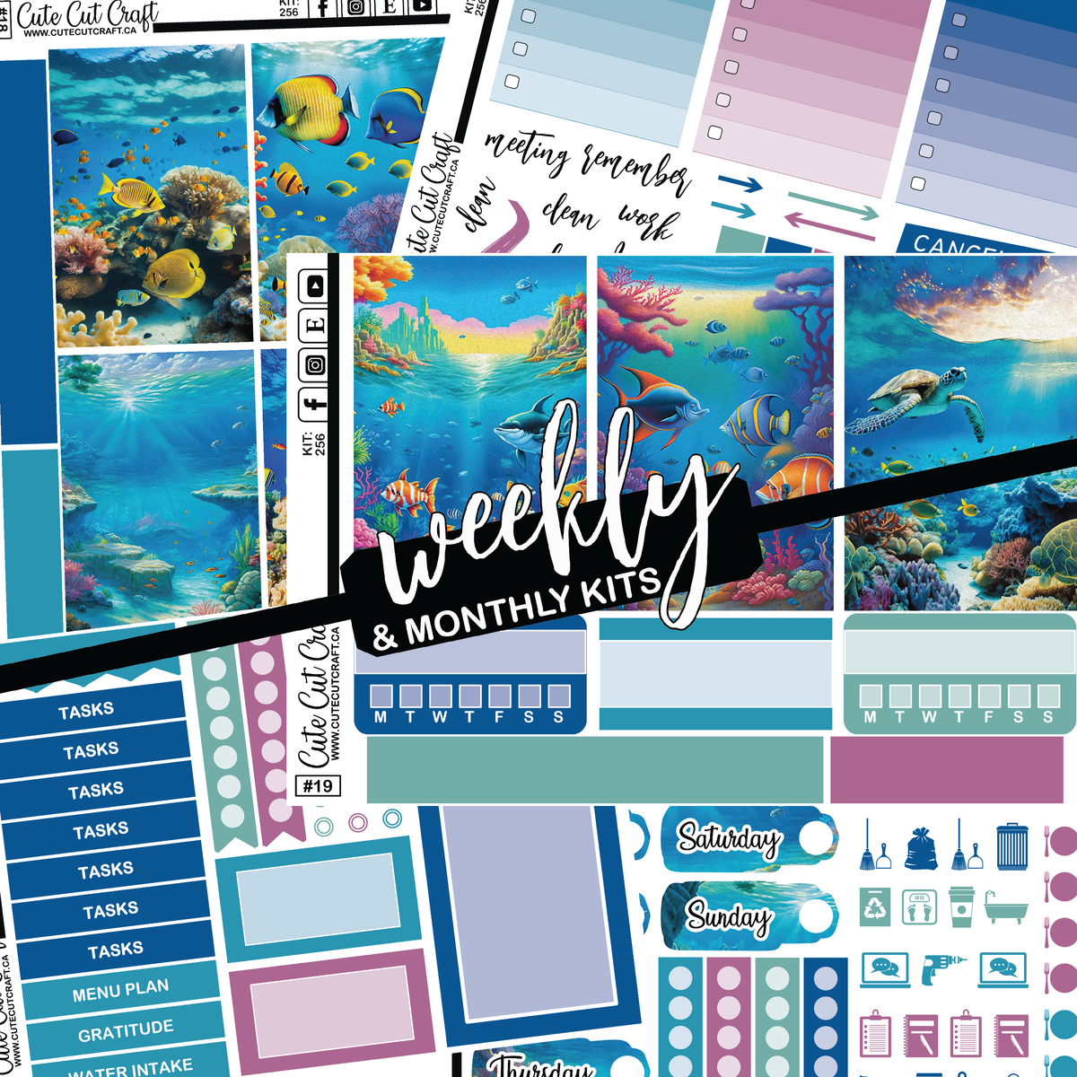 Ocean Life #256 || Big HP Weekly & Monthly