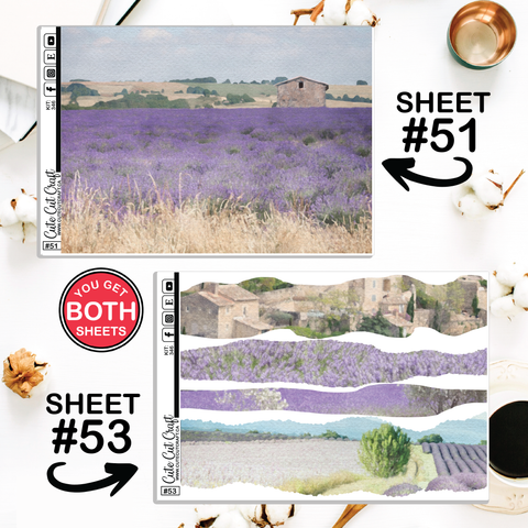 Lavender Fields #346 || Big HP Weekly & Monthly