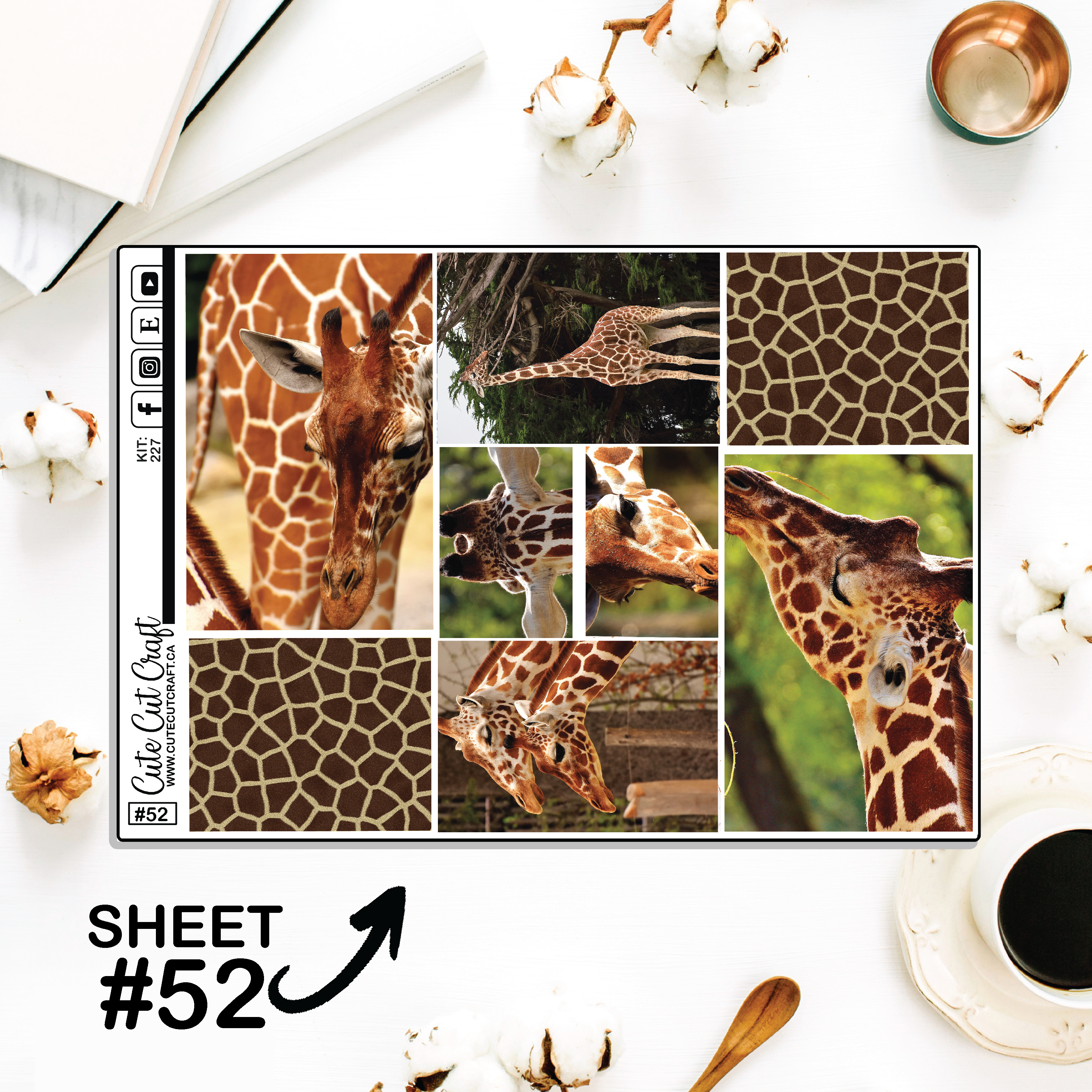 Giraffe #241 || Big HP Weekly & Monthly