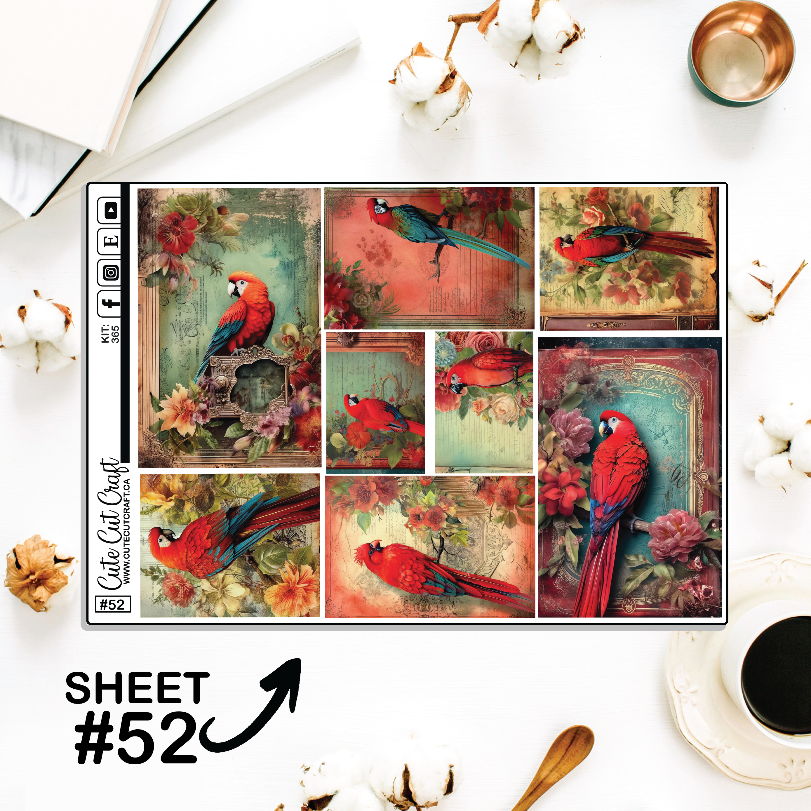 Red Parrot #365 || Big HP Weekly & Monthly