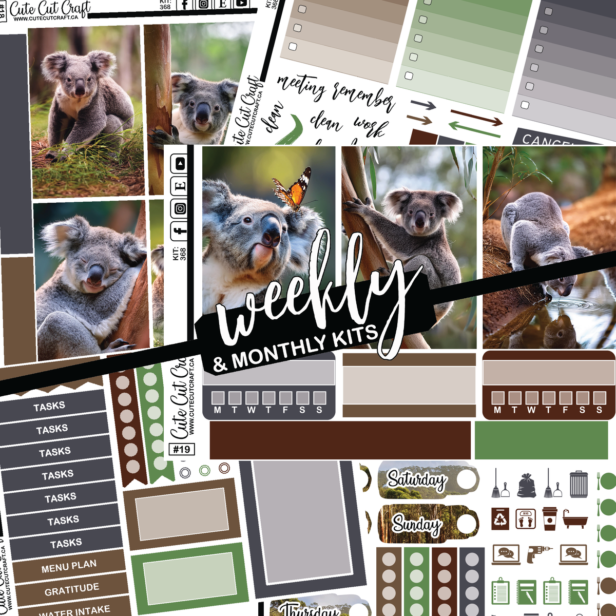 Cute Koala #368 || Big HP Weekly & Monthly