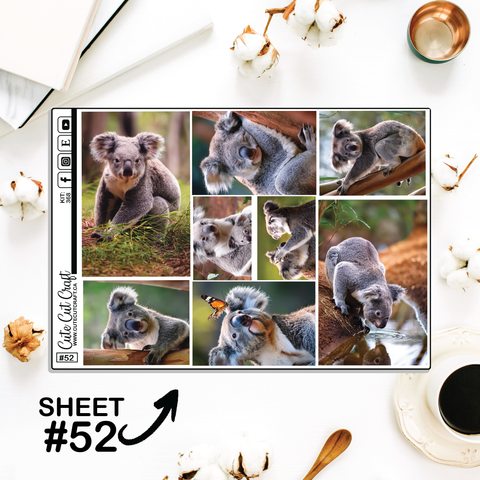 Cute Koala #368 || Big HP Weekly & Monthly