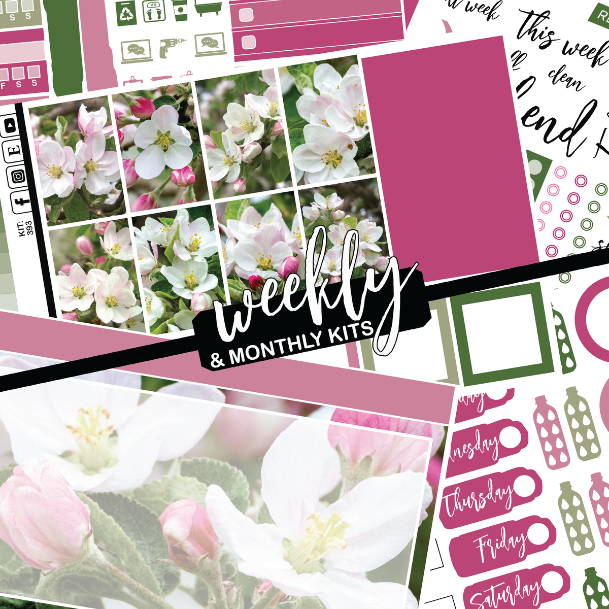 Apples In Bloom #393 || CHP Dashboard Weekly & Monthly