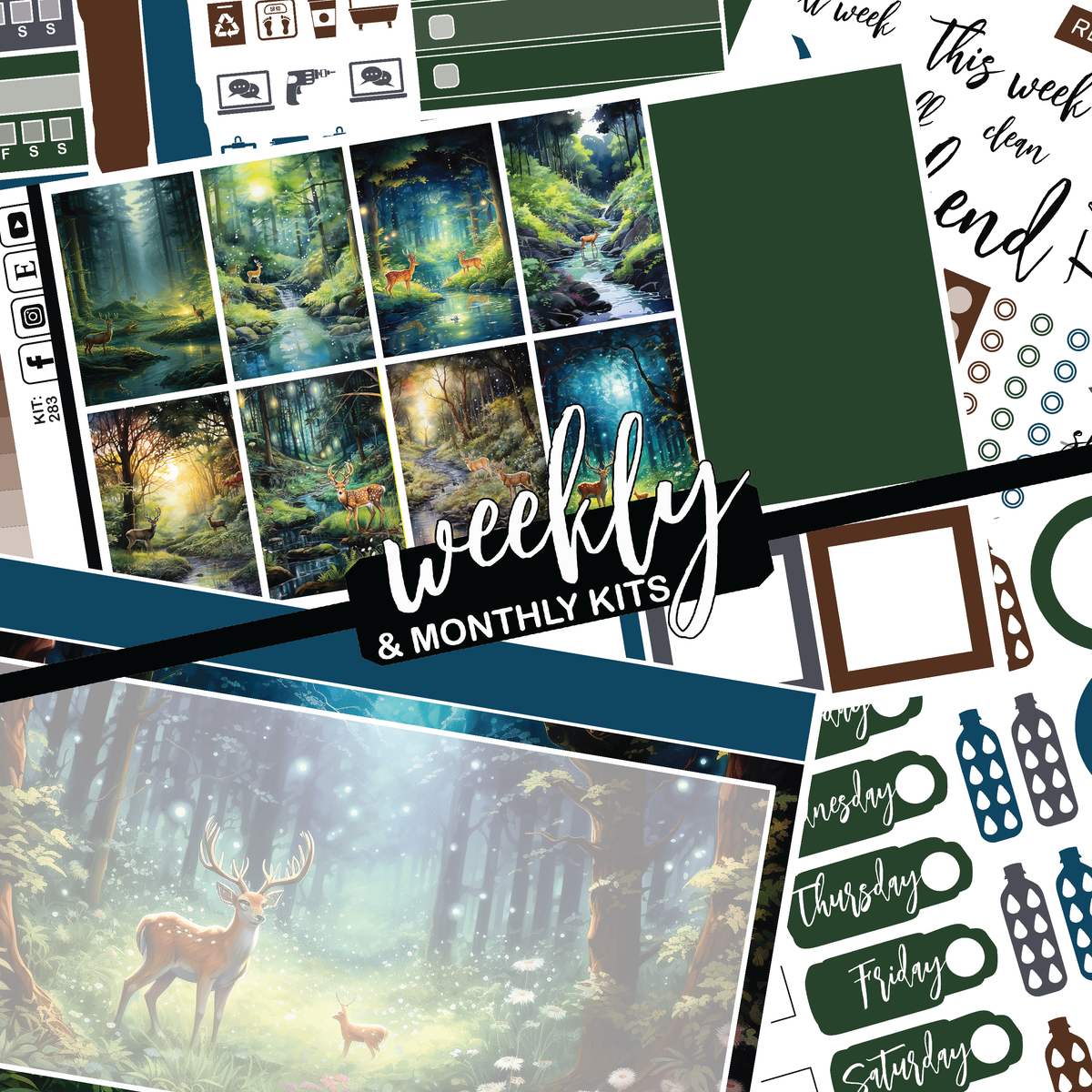 Into The Woods #283 || CHP Dashboard Weekly & Monthly