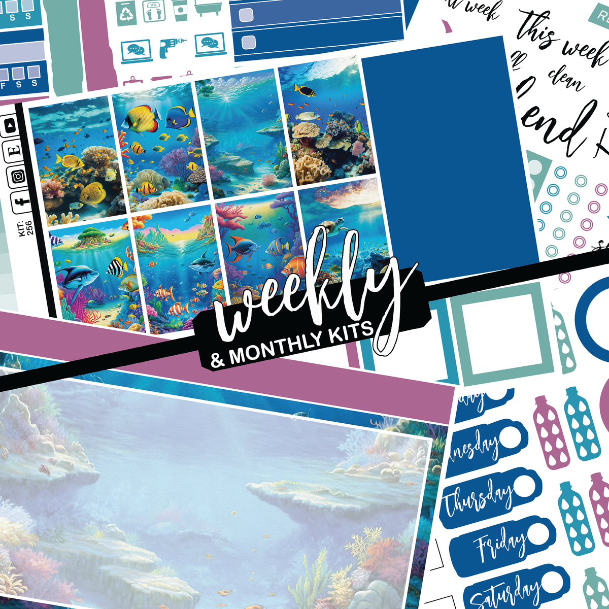 Ocean Life #256 || CHP Dashboard Weekly & Monthly