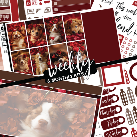 Valentine Puppy #388 || CHP Dashboard Weekly & Monthly