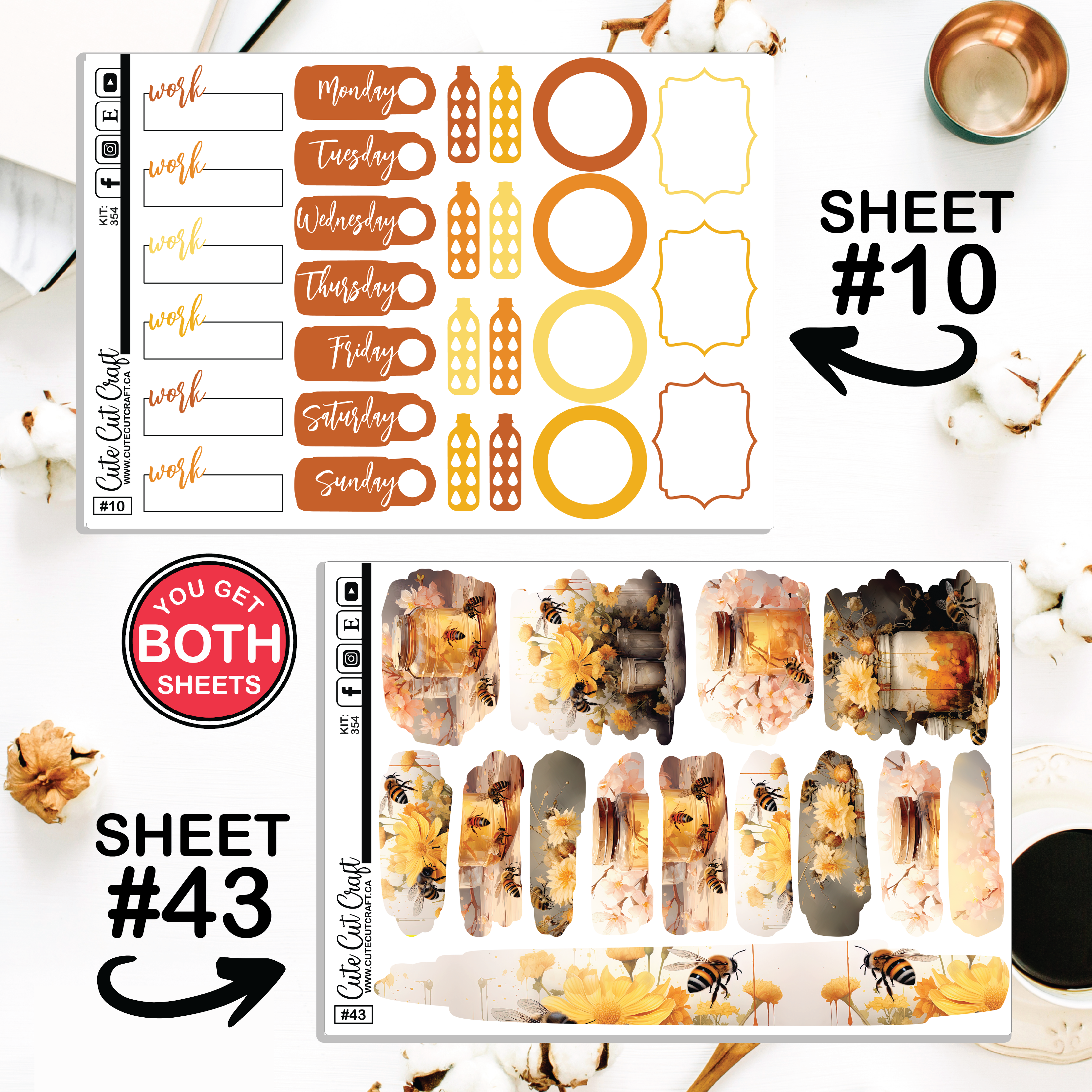 Bumble Bee #354 || CHP Dashboard Weekly & Monthly