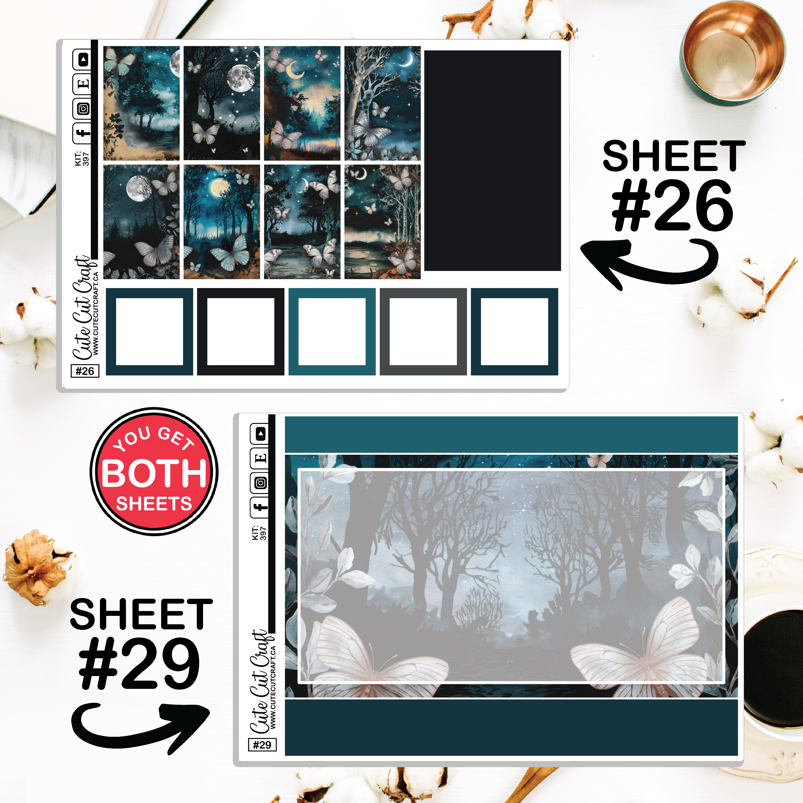 Blue Butterfly #397 || CHP Dashboard Weekly & Monthly