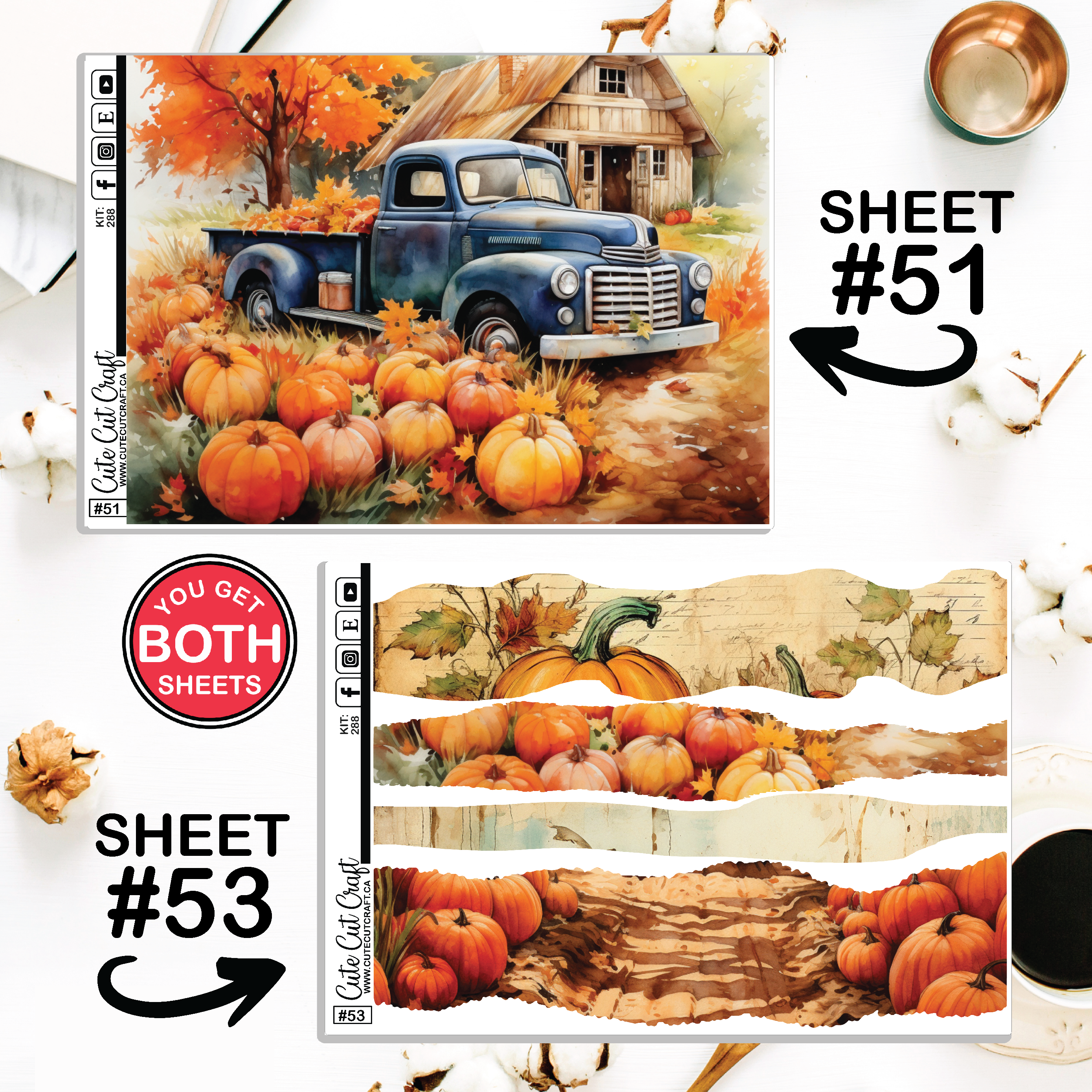 Pumpkin Truck # 288 || CHP Dashboard Weekly & Monthly