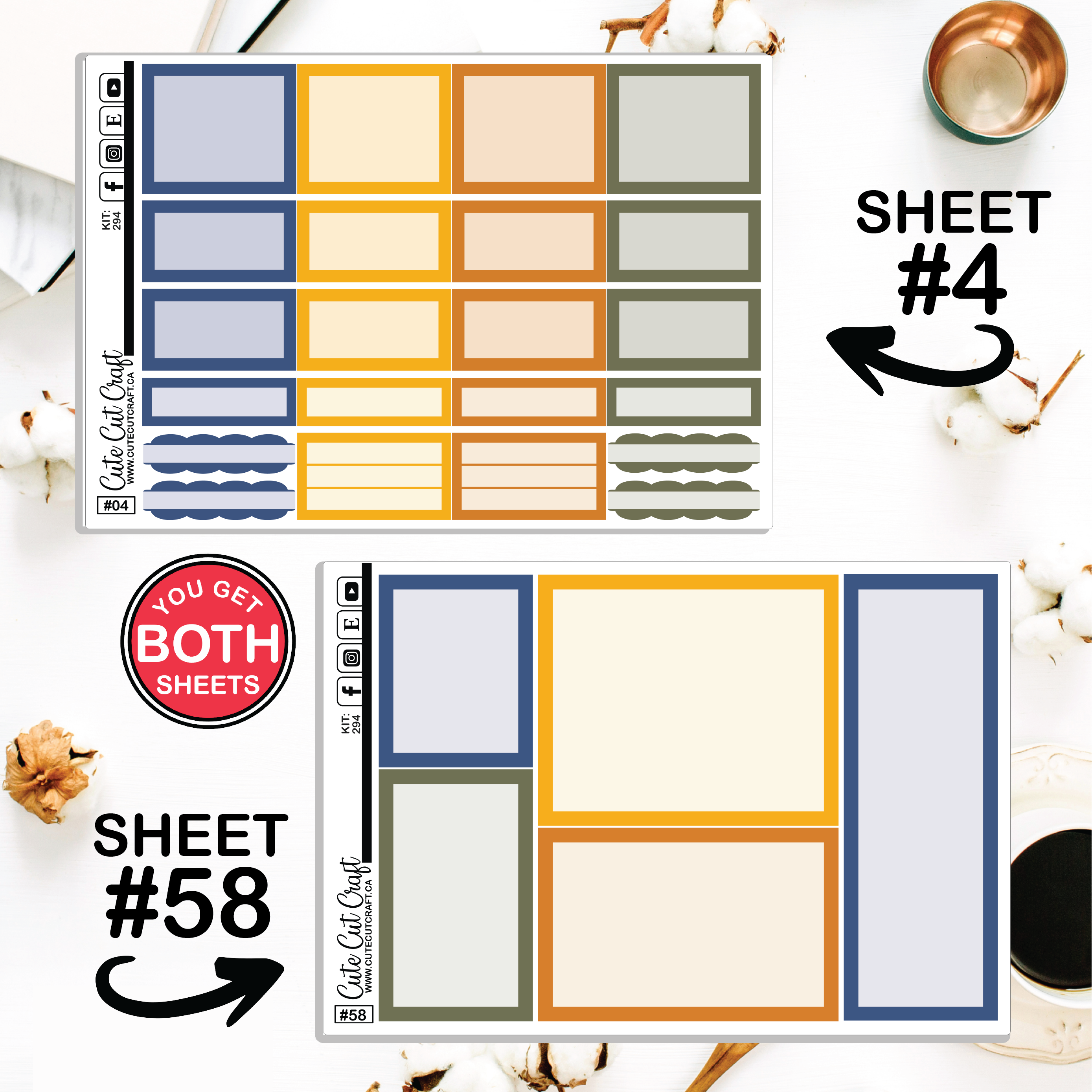 Pumpkin Bee #294 || CHP Dashboard Weekly & Monthly