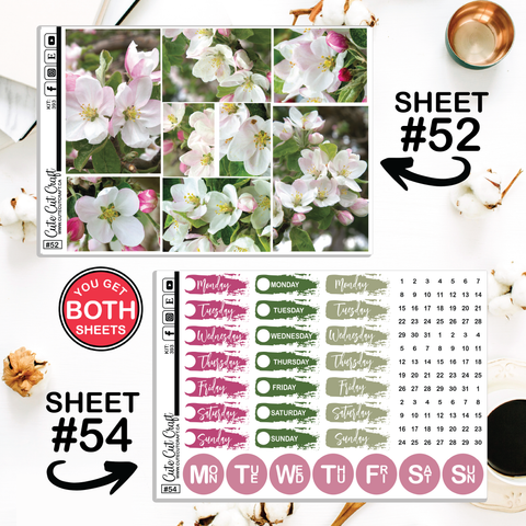 Apples In Bloom #393 || CHP Dashboard Weekly & Monthly