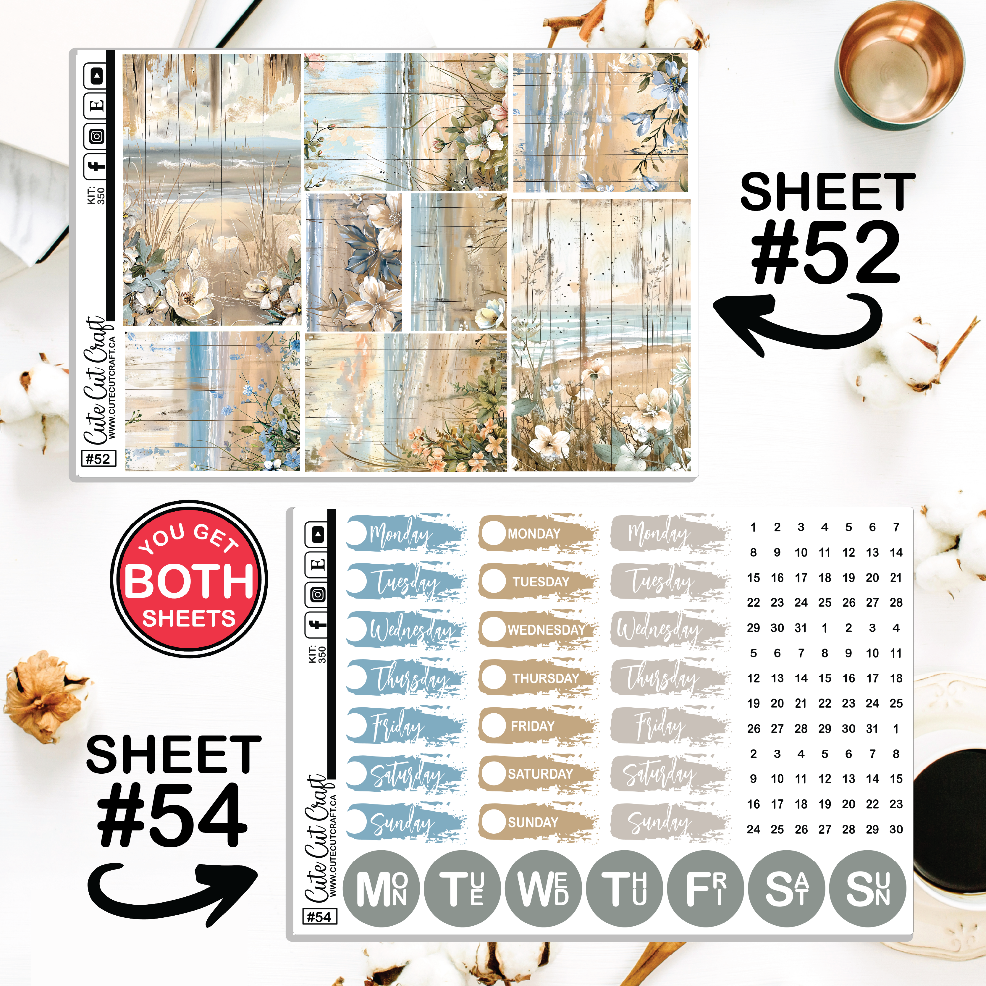 Beachscape #350 || CHP Dashboard Weekly & Monthly