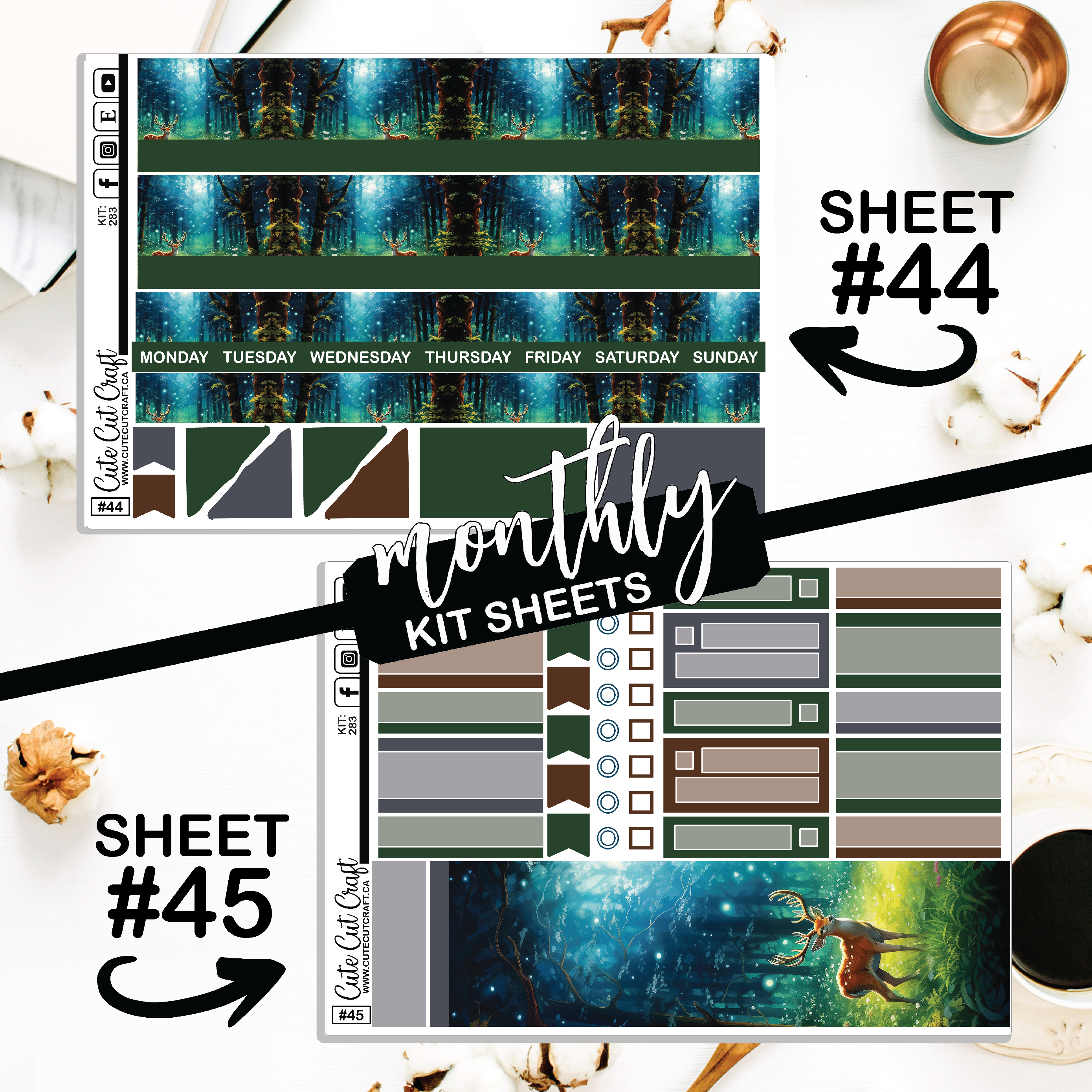 Into The Woods #283 || CHP Dashboard Weekly & Monthly