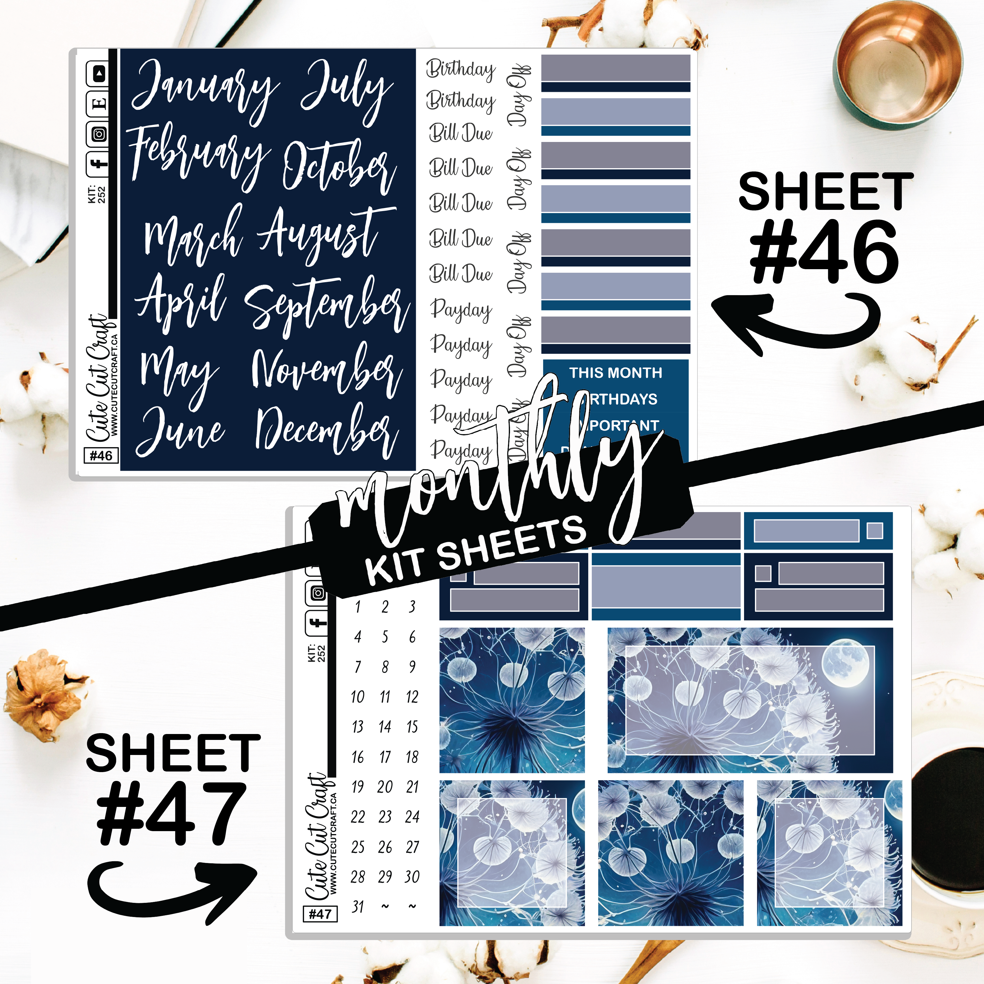Moonlight Dandy #252 || CHP Dashboard Weekly & Monthly