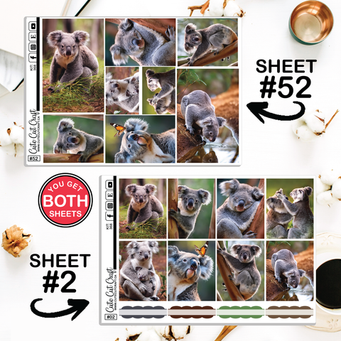 Cute Koala #368 || ECLP Weekly & Monthly