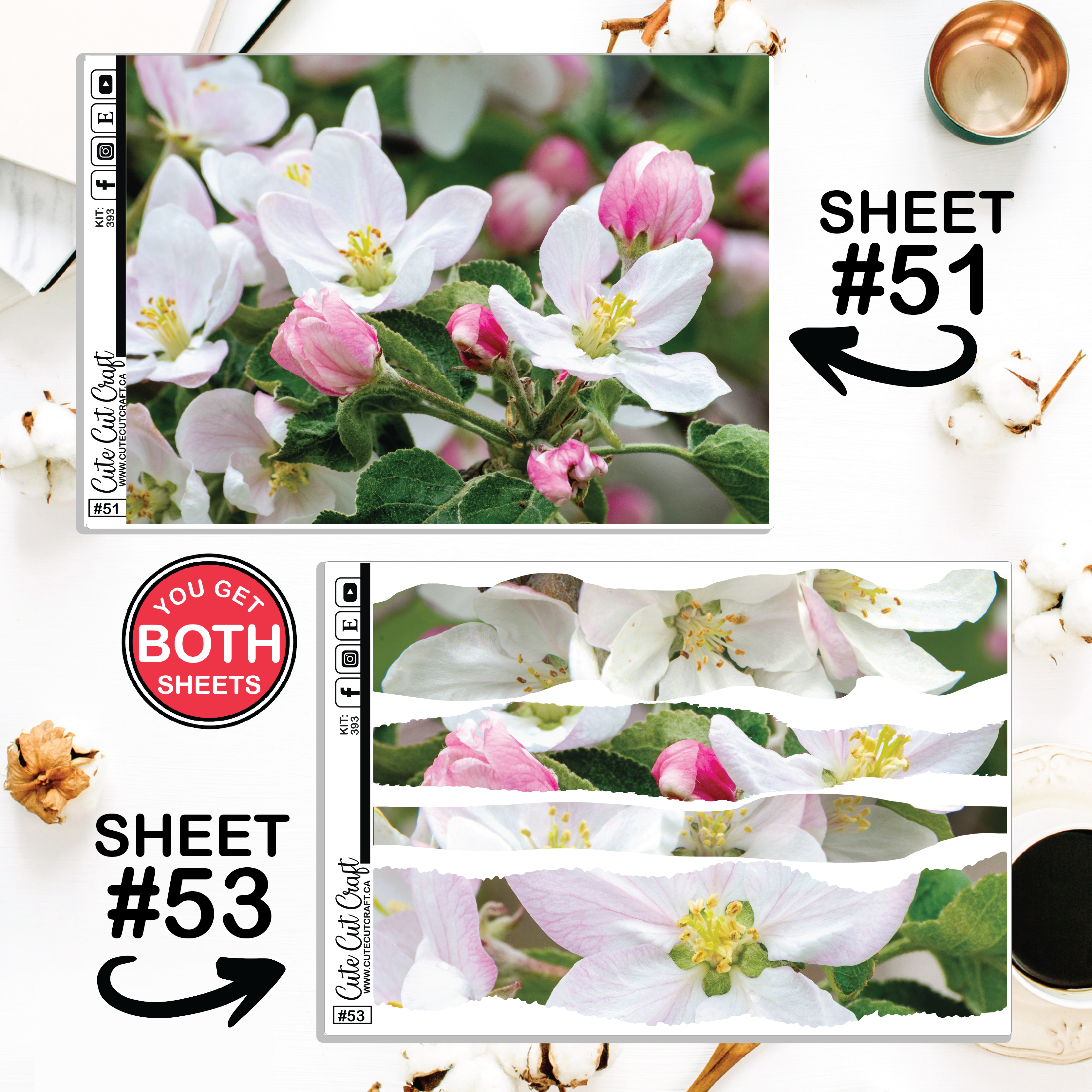 Apples In Bloom #393 || ECLP Weekly & Monthly