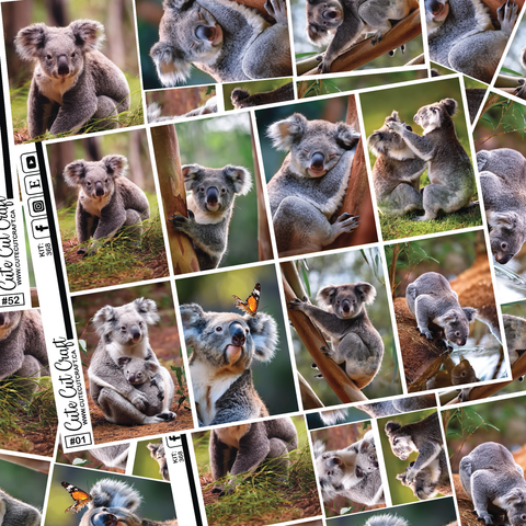 Cute Koala #368 || Full Boxes